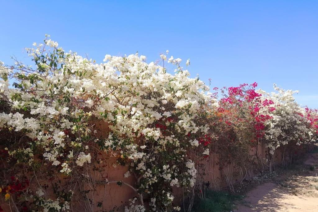 Casa de hóspedes Agora, A La Campagne Proche Marrakech *